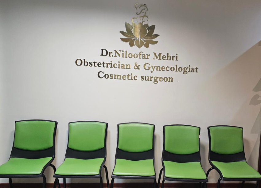 نیلوفر مهری