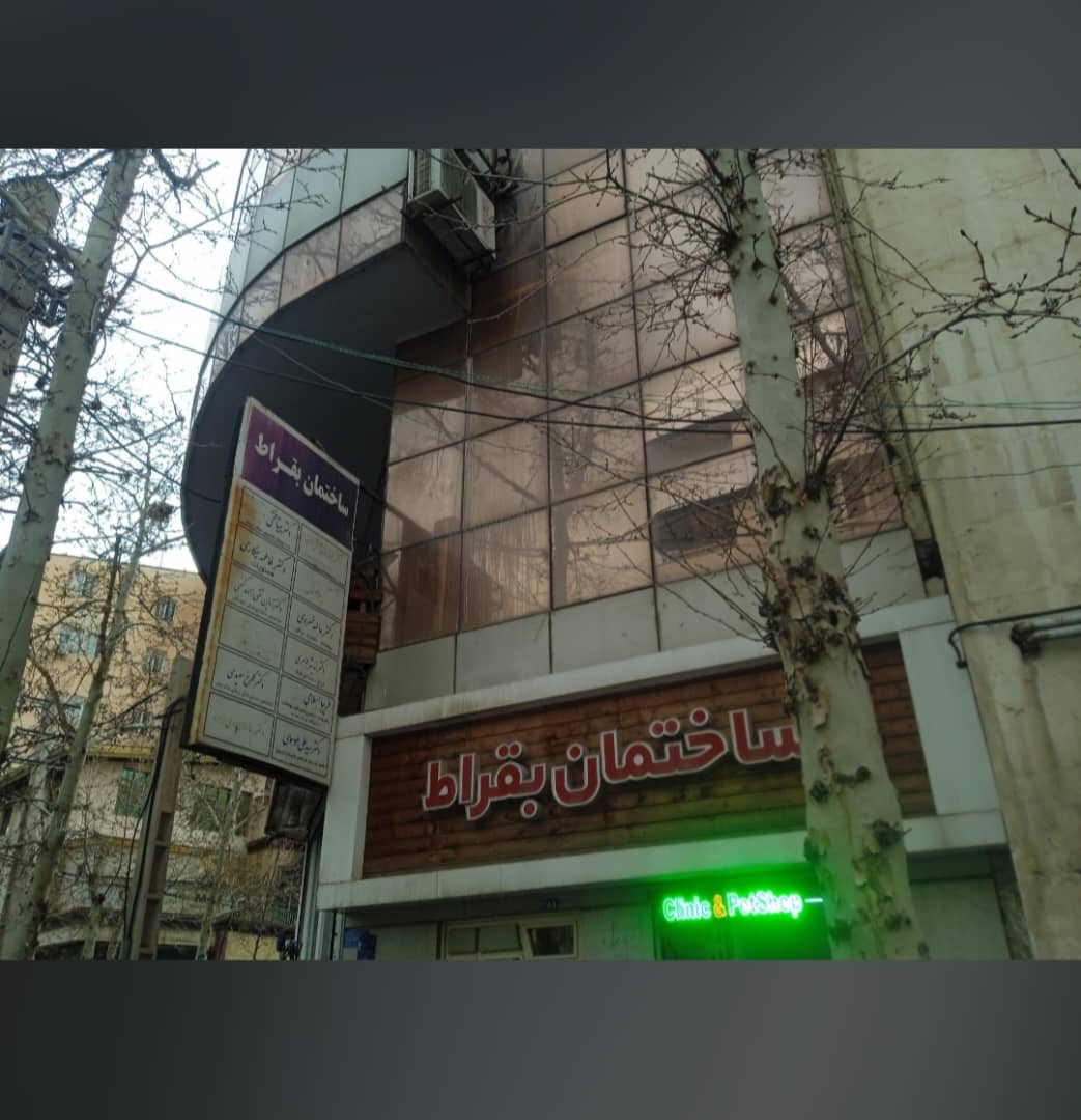 سعیده ایرانشاهی