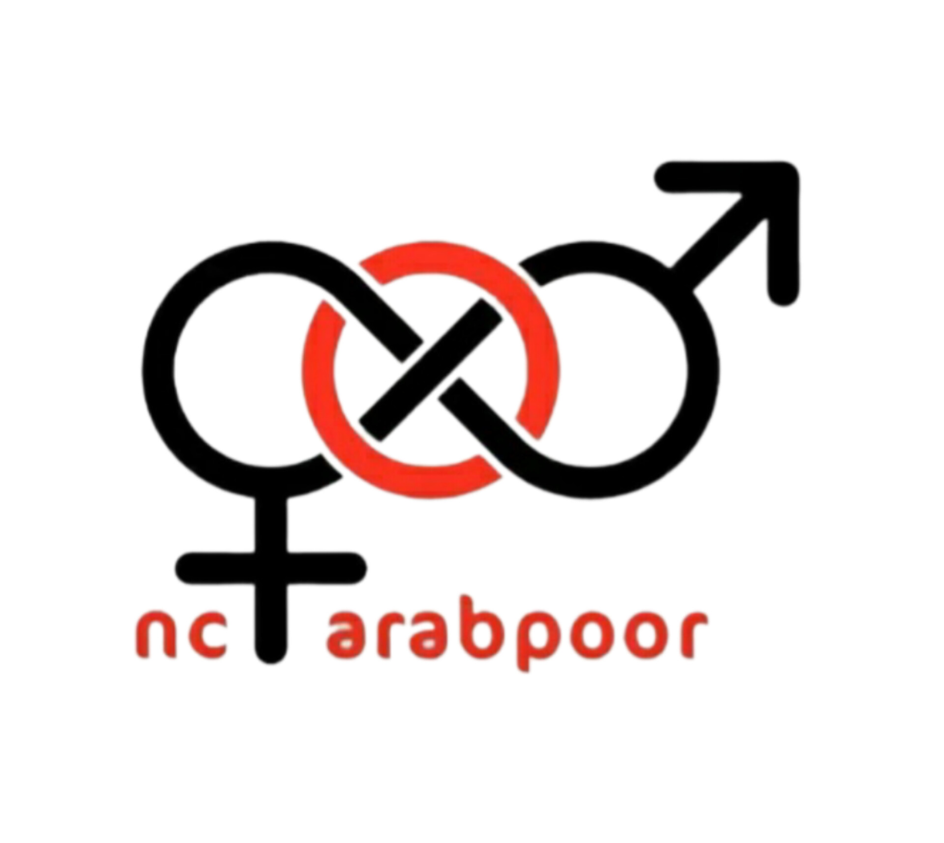 انسیه عرب پور 