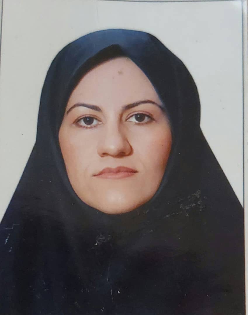 ویزیت چت آنلاین